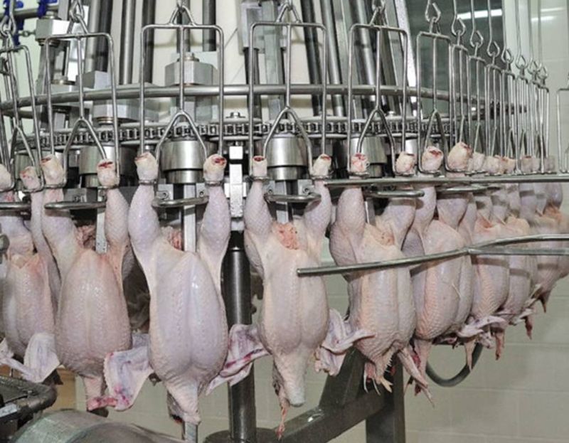 Молдова відновлює імпорт української курятини