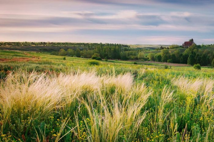 44 гектари історико-культурних земель на Вінниччині повертають у власність громади