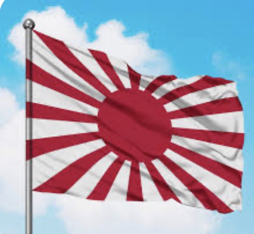 Японія хоче закупити українські дрони та поставити їх собі на озброєння для оборони — Kyodo