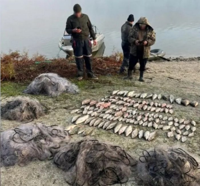 Викрили браконьєра, а він виявився дезертиром.