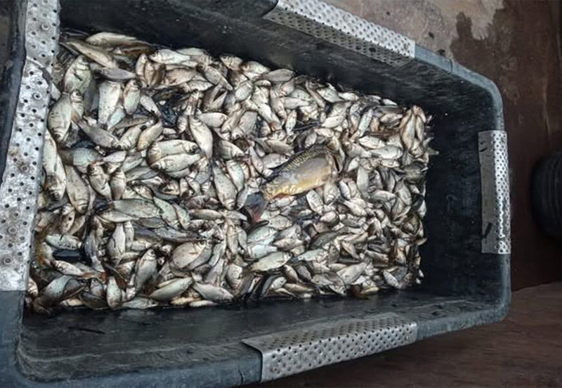 На Вінниччині браконьєр завдав збитків природі на 7 млн грн