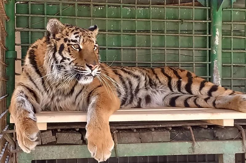 Подільський зоопарк у Вінниці працюватиме на годину довше