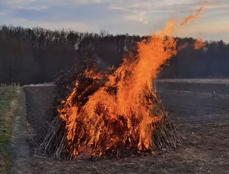 Запалив спалюванням хмизу дискусію