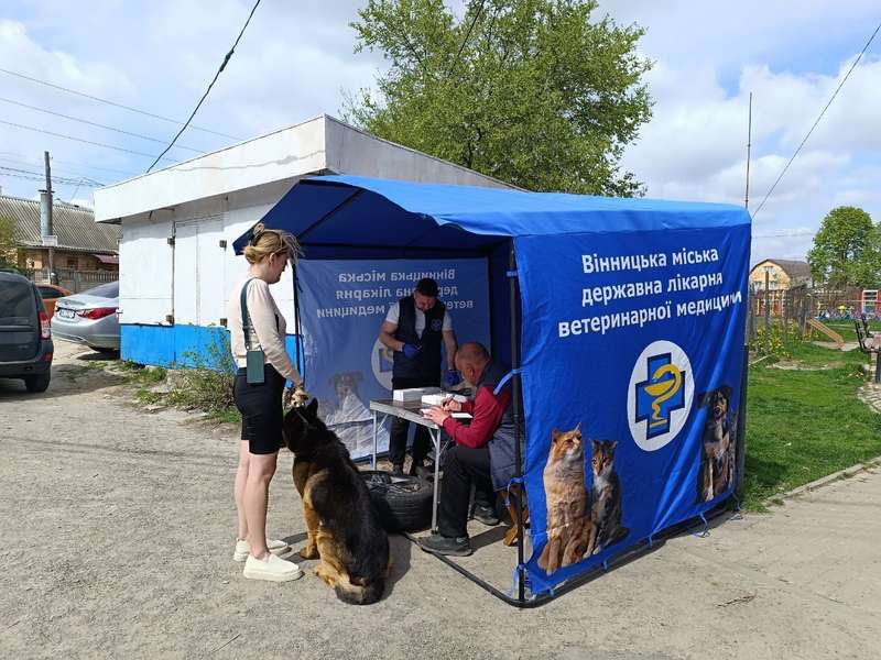 Безкоштовні щеплення тварин від сказу робитимуть на Вінниччині