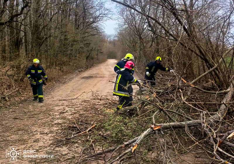 Сильний вітер на Вінниччині ламав дерева
