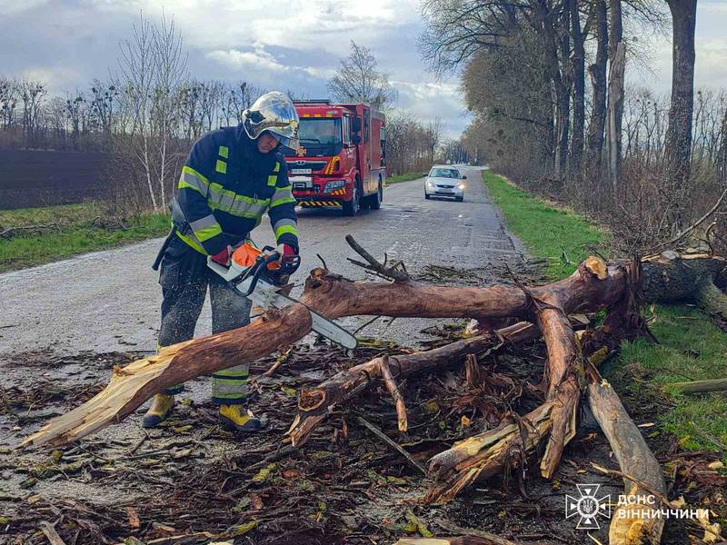 На Вінниччині триває “деревопад”