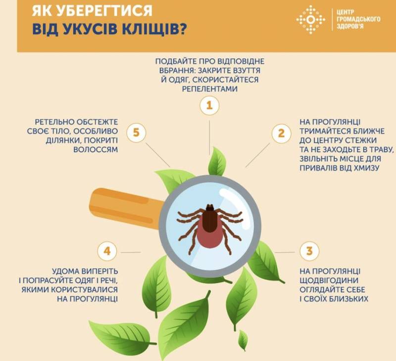 Україна «кишить» кліщами