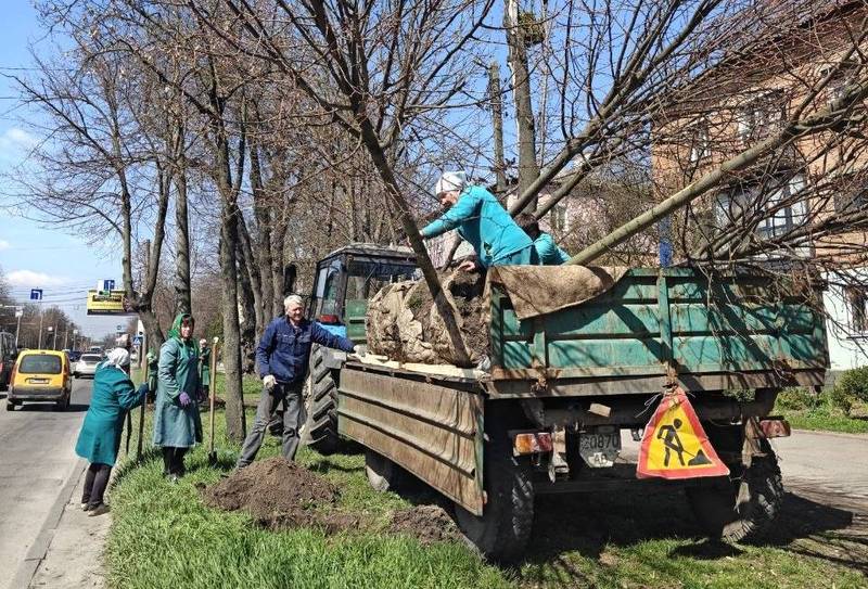 У Вінниці, в межах весняного озеленення, висаджують нові дерева на Хмельницькому шосе