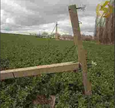 Через негоду без світла на Вінниччині залишилось понад 61 тисяч споживачів