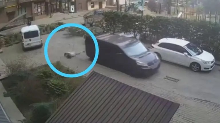 Вагітна жінка вчепилася за бус працівників ТЦК, які забрали її чоловіка