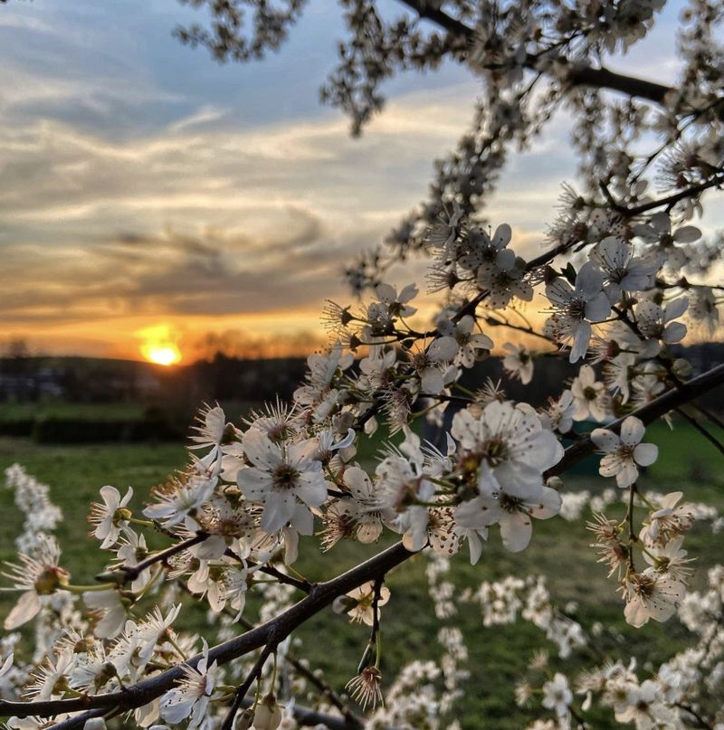 Від заморозків до тепла