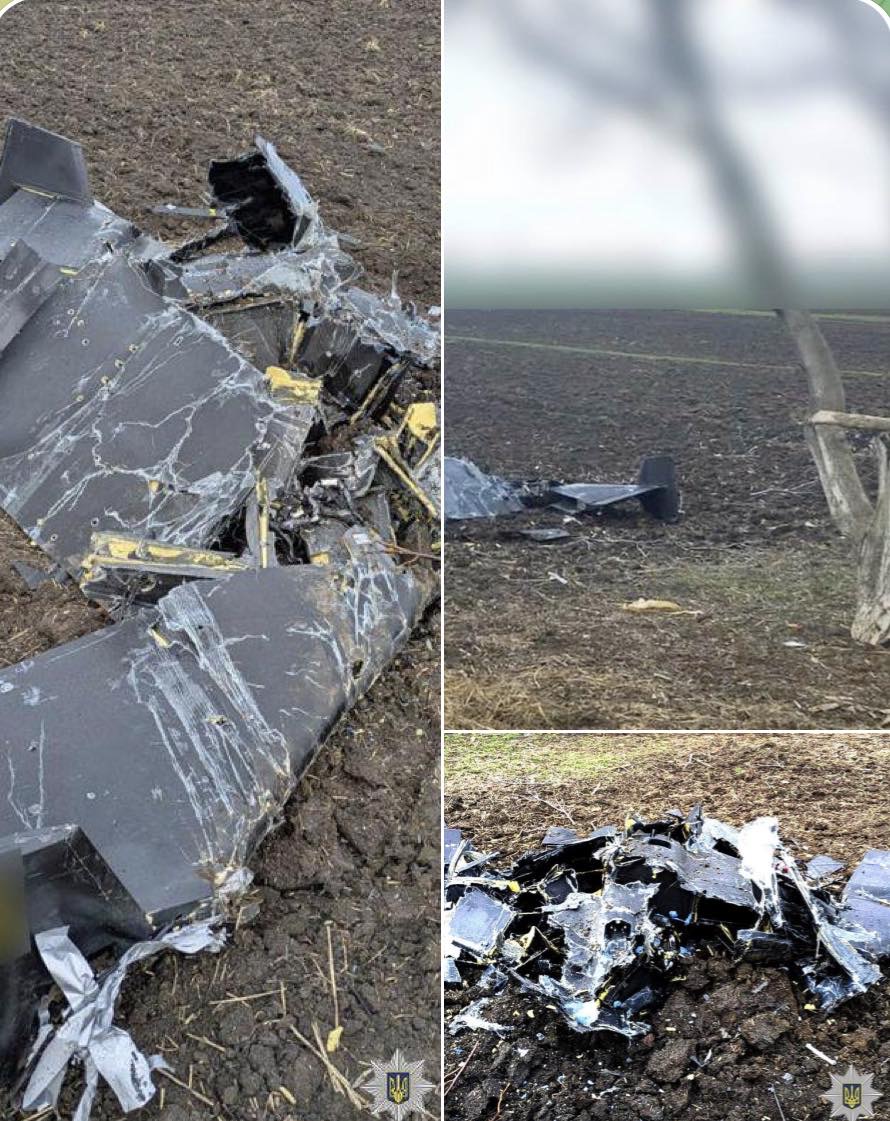 Вибухотехніки поліції Вінниччини вилучили уламки та знешкодили бойові частини ворожих БпЛА, збитих силами ППО