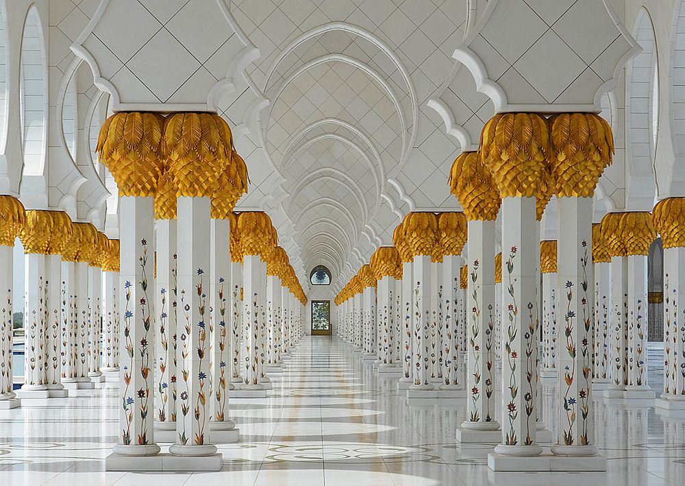 Фотогалерея «33-го каналу» «Світ навколо нас»