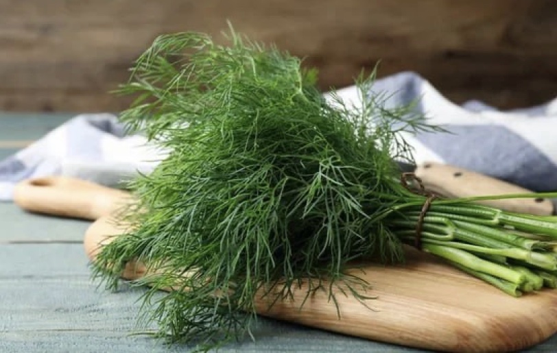 Звичайний кріп — порятунок від здуття та тиску!