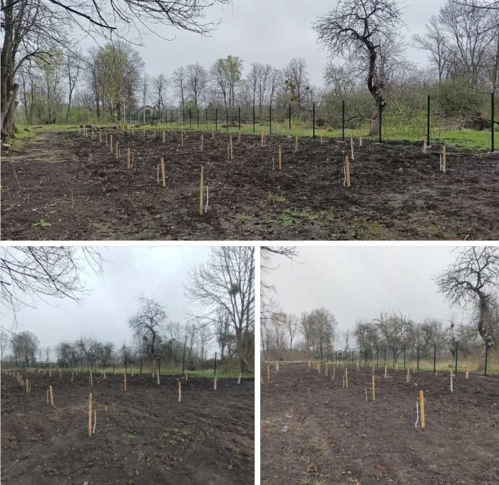 У монастирі ПЦУ під Вінницею вже є сад на місці чагарників