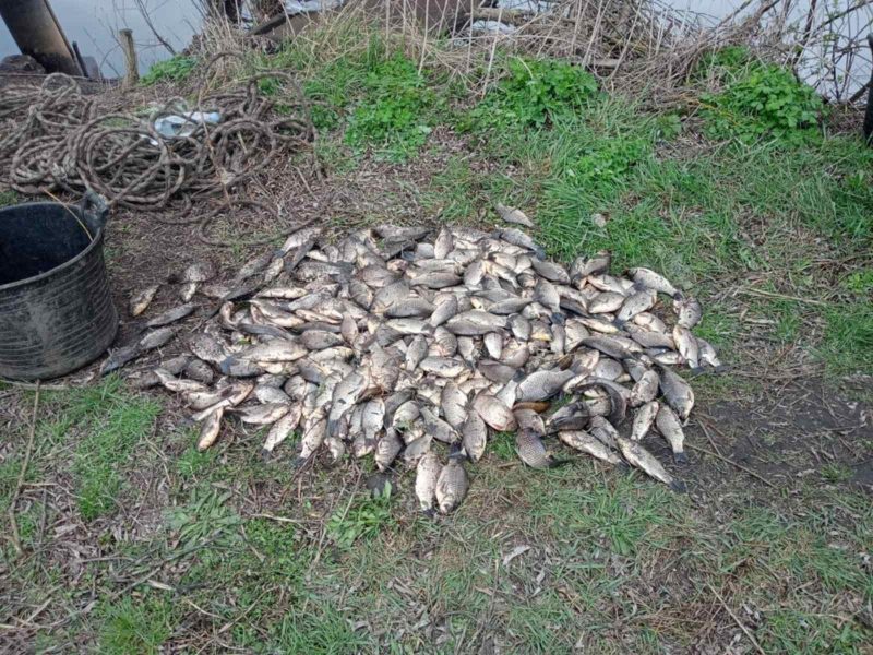 На Вінниччині під час нересту виявили майже 30 фактів браконьєрства