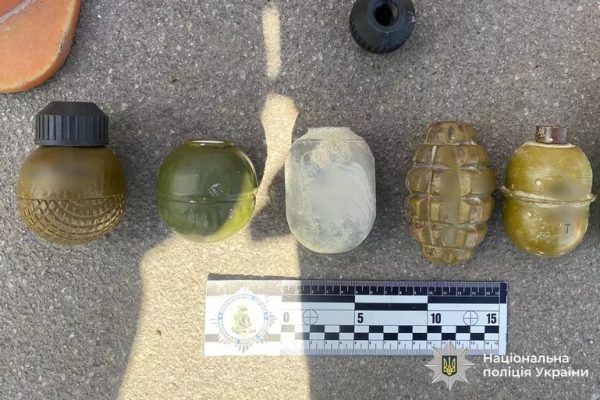 6 гранат вилучили на Вінниччині у водія легковика