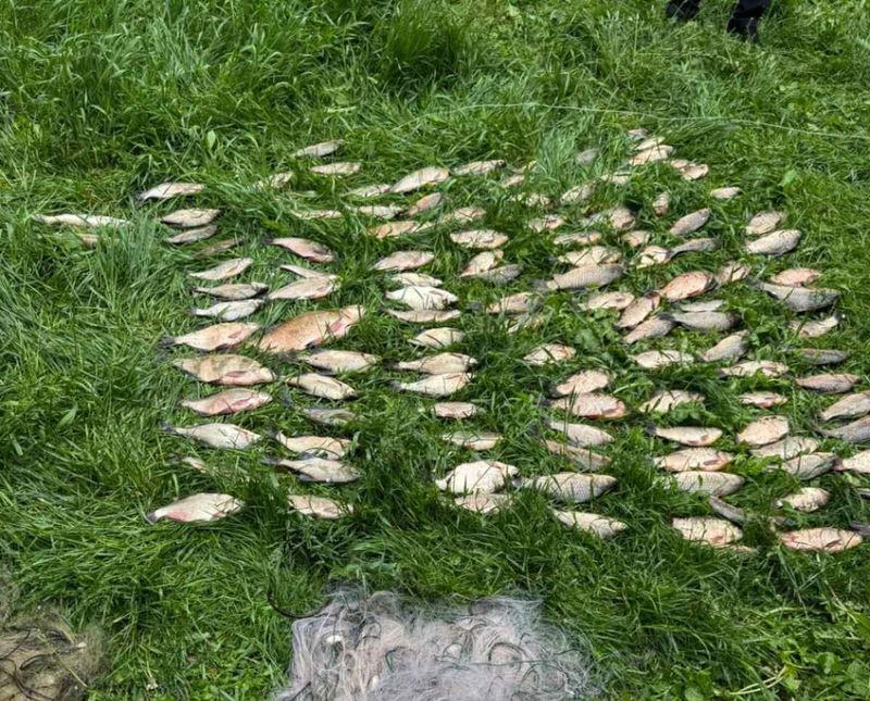 На Вінниччині браконьєр наловив риби на майже 200 тисяч гривень