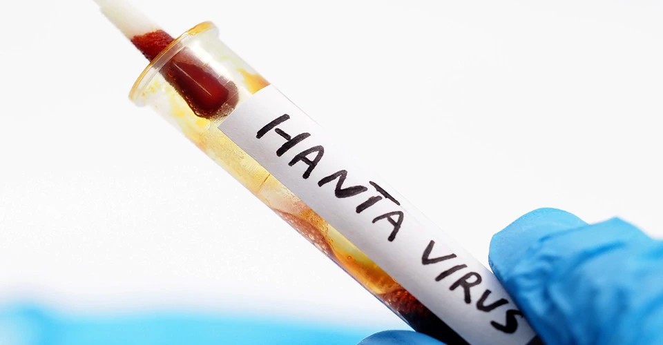 Хантавірусну інфекцію зафіксували у двох людей в Хмельницькому