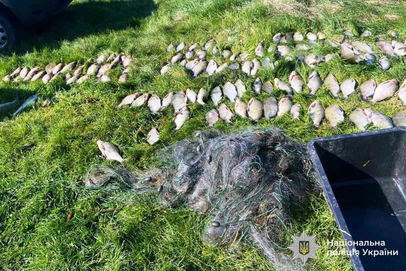 На Вінниччині викрили браконьєра, який сітками наловив риби на понад 200 тис. грн