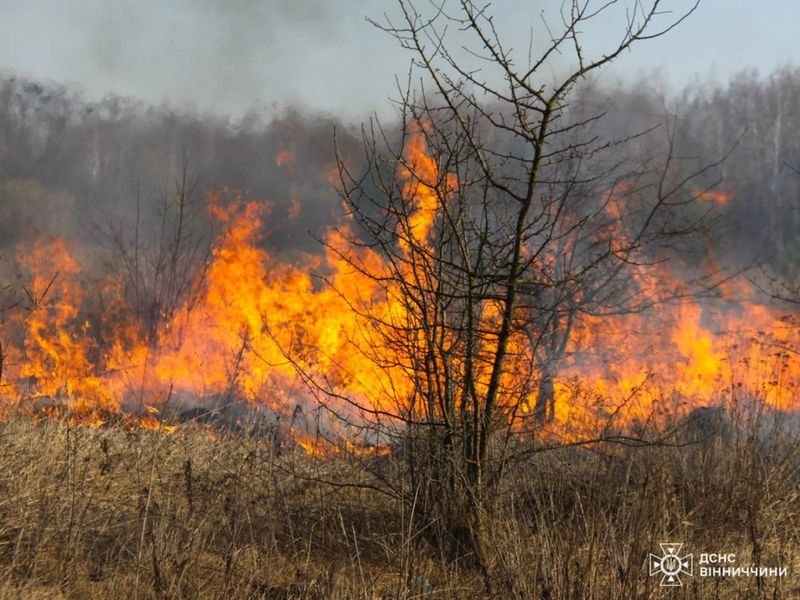 Більше 500 пожеж сталося з початку року в екосистемах Вінниччини