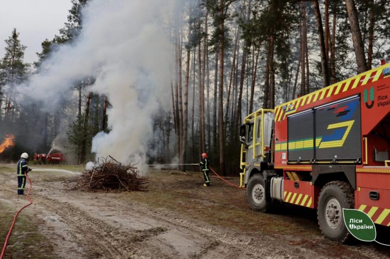 Через пожежну небезпеку на Вінниччині заборонили в’їзд до лісів