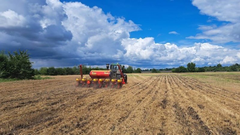 Аграрії Вінниччини засіяли кукурудзою засіяли понад 170 тисяч гектарів