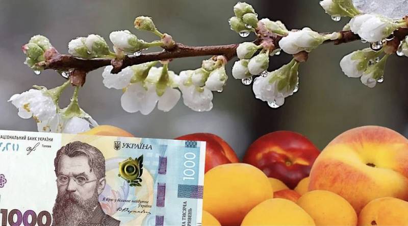Цьогоріч українці будуть без персиків, абрикос та вишень, — президент Асоціації фермерів України