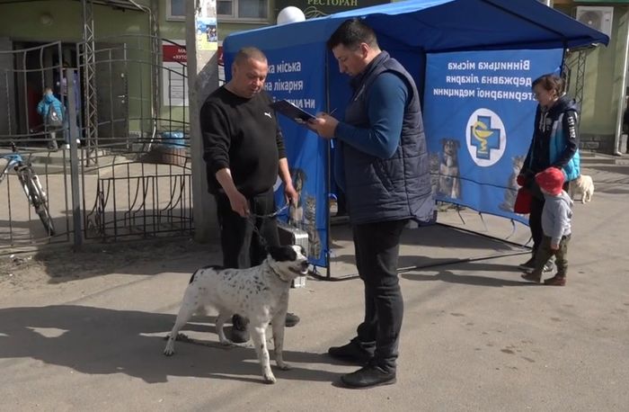 24 червня вакцинуватимуть домашніх тварин проти сказу у Писарівці Вінницько-Хутірського округу
