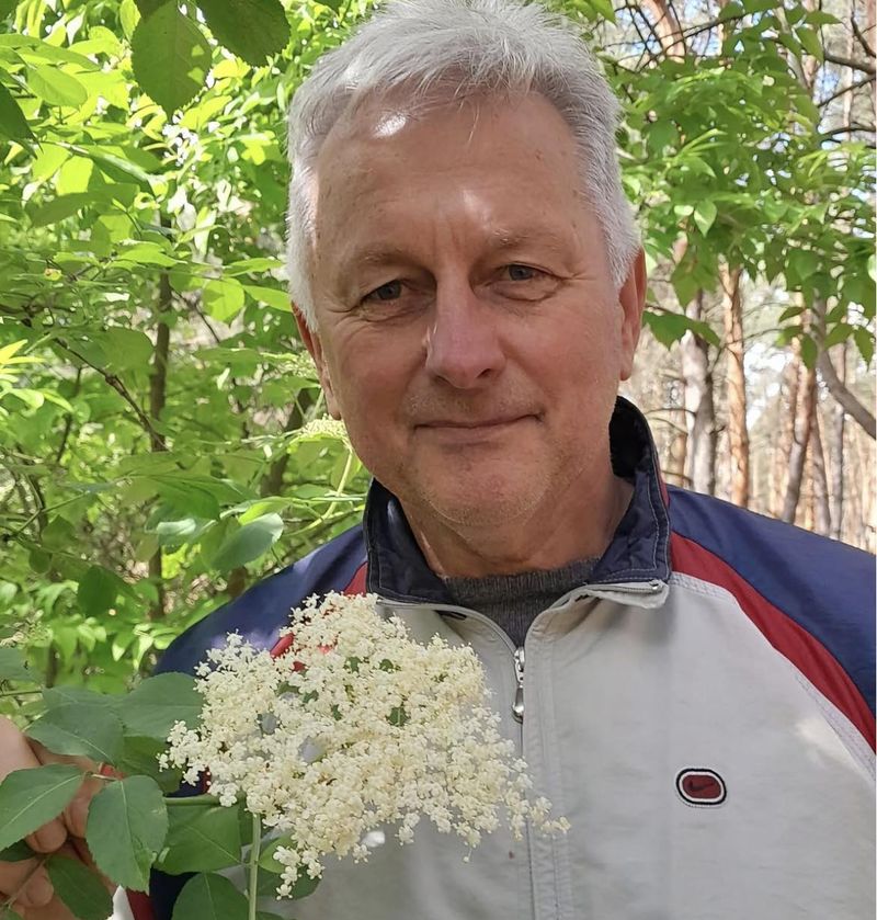 Цвіт бузини – одна з найсильніших рослин для очищення і відновлення організму