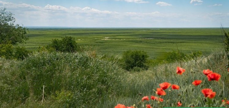 Близько сотні організацій закликають визнати Великий Луг спадщиною ЮНЕСКО