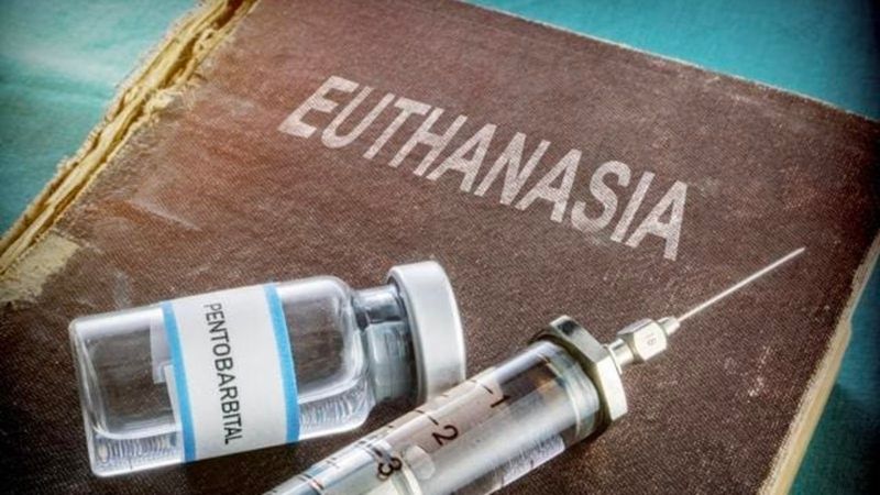 У Нідерландах вперше піддали евтаназії дитину
