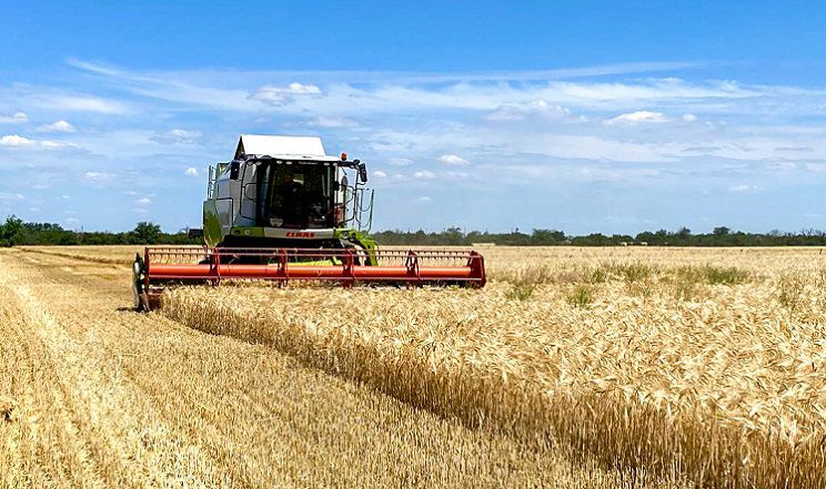 На Вінниччині розпочались жнива ранніх зернових