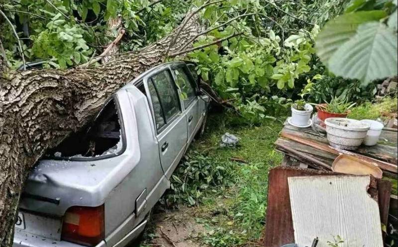 На Вінниччині під час негоди дерева падали на автівки