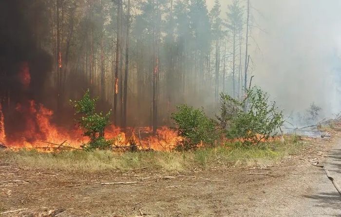 Обережно з вогнем: на Вінниччині оголосили надзвичайний рівень пожежної небезпеки