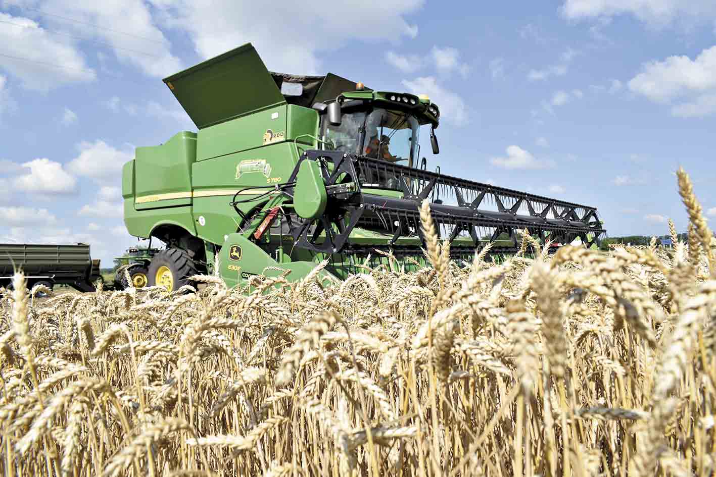 95000 гектарів і 200 комбайнів: МХП розпочинає жнива-2026