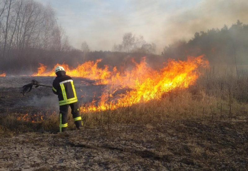 Через спеку нa Вінниччині почастішали пожежі