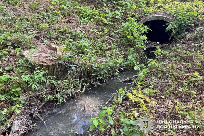 Розпочато розслідування можливого забруднення Південного Бугу