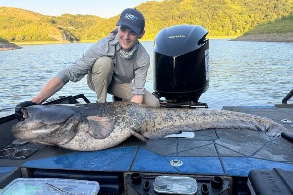 50- кілограмового сома впіймав рибалка у Дністрі