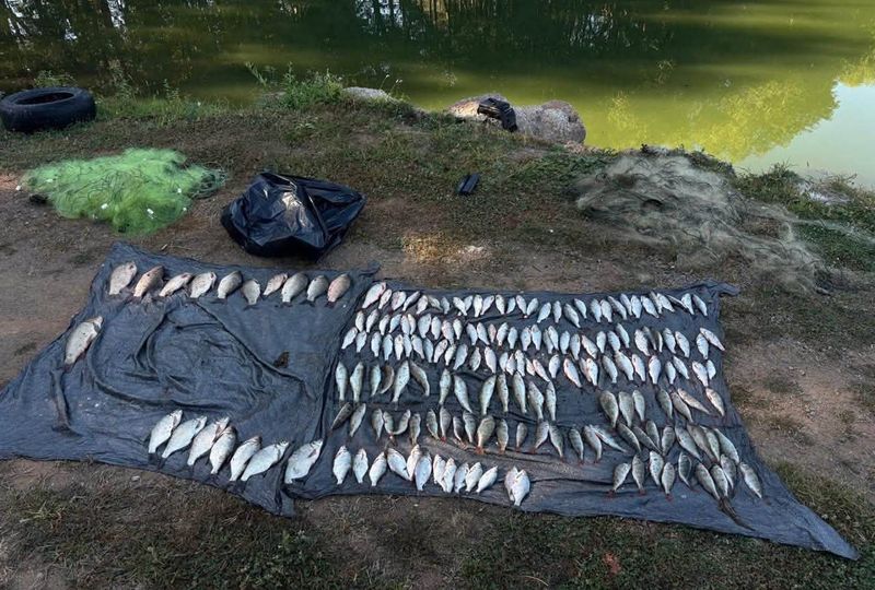 На Вінниччині бракон’єр незаконно наловив “золотих рибок”
