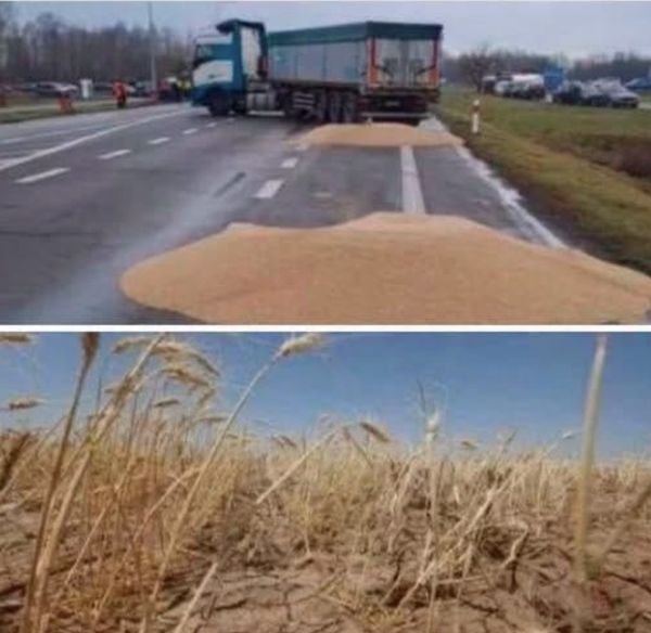 Коли викидаєш хліб на дорогу – чекай відповіді Всесвіту