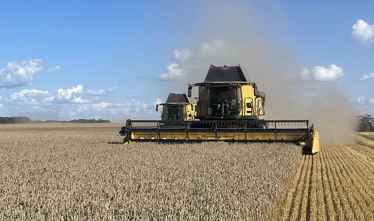 Українські аграрії зібрали вже понад 17 млн тонн зерна