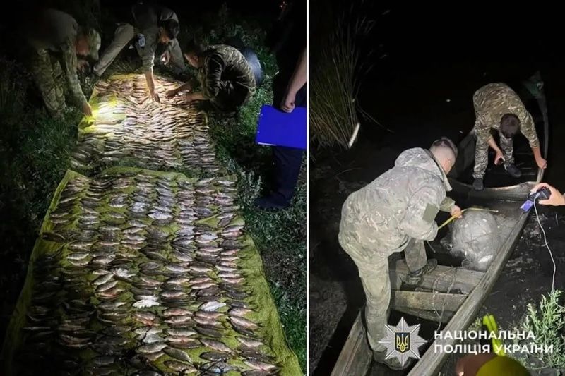 Браконьєрська риболовля на понад мільйон гривень