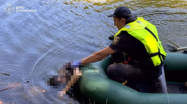 Трагедія на ставку у Вінниці: 55-річну жінку знайшли мертвою у воді