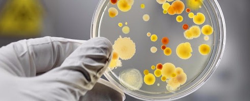 На Вінниччині зафіксували спалах кишкових інфекцій