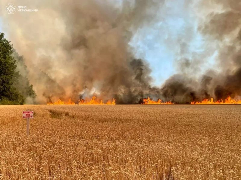 На Вінниччині в полі згоріло майже 2 гектара пшениці