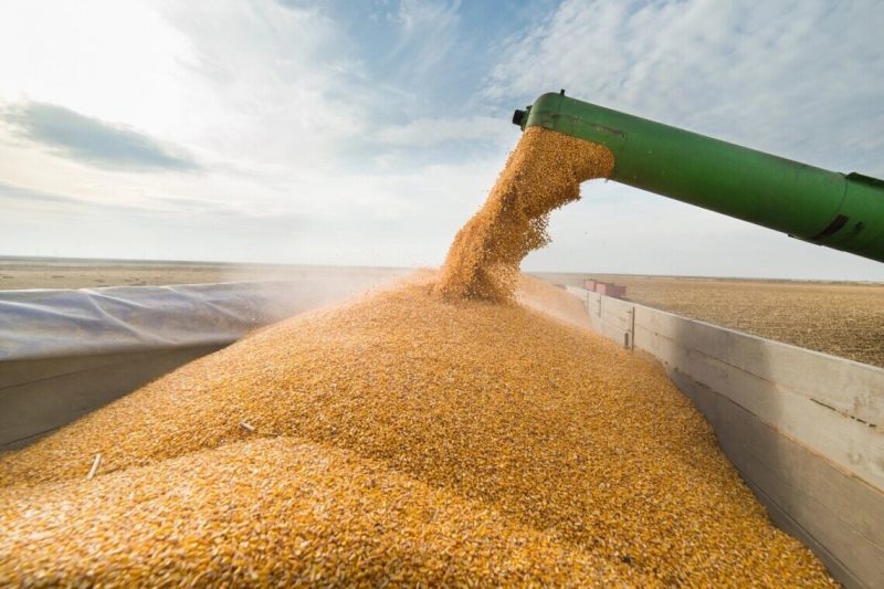 Україна скоротила експорт зерна на 75% через обстріли портів