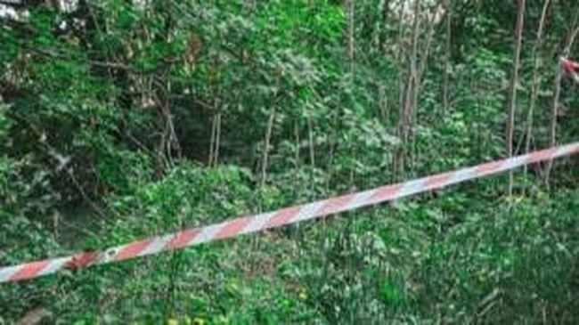 У лісосмузі в Нетішині виявили тіло 52-річного військовослужбовця