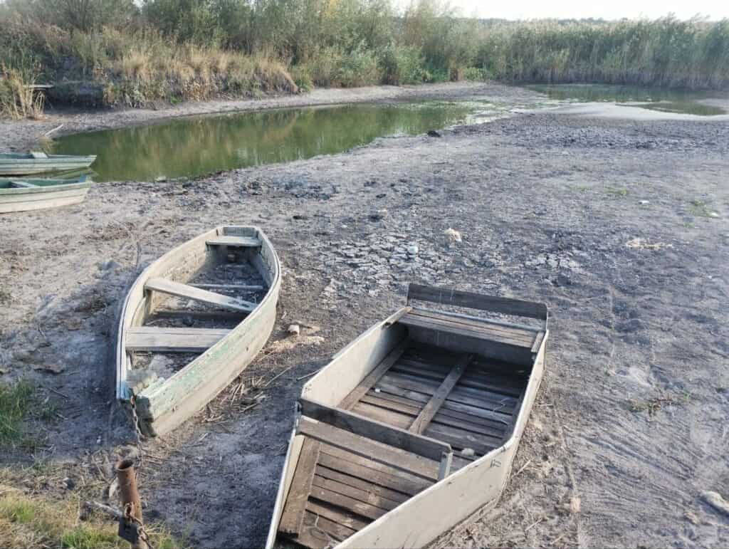 У Рейні зафіксували найнижчий рівень води за всю історію спостережень