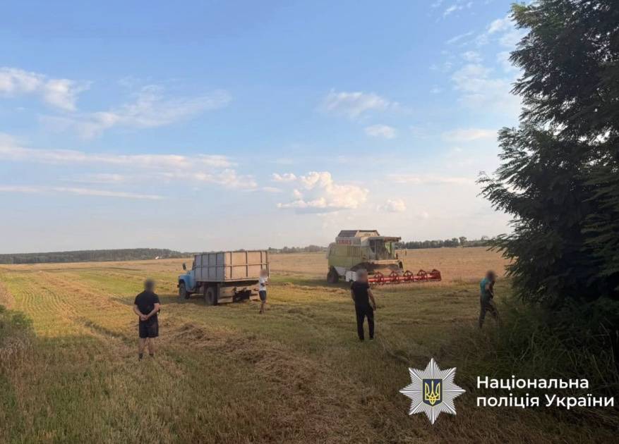На Вінниччині судитимуть депутата міської ради за самовільне зайняття поля площею майже 100 гектарів